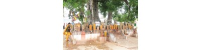 ஆரணி